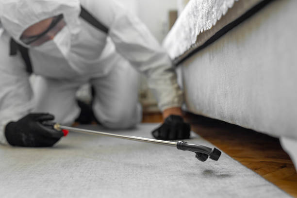 Professional Pest Control technician working in Paris, MO