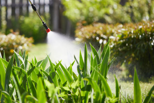 24/7 Emergency Pest Control experts in Paris, MO