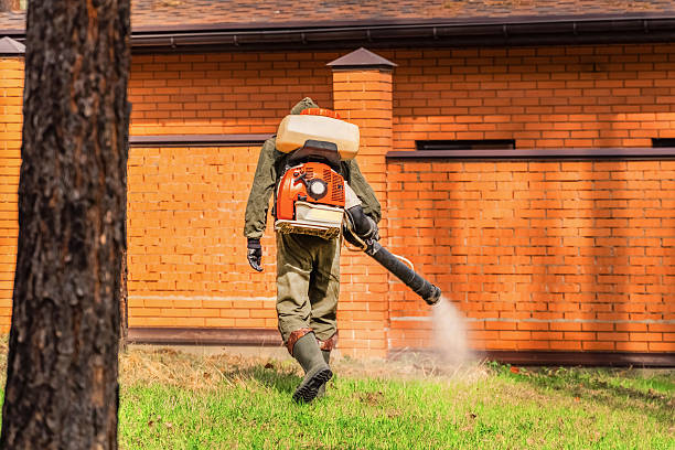 Top rated local Pest Control specialists in Paris, MO